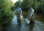 Larval Assessment After Lampricide Treatment